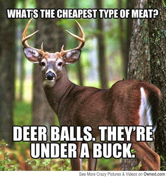 Deer Balls.jpeg