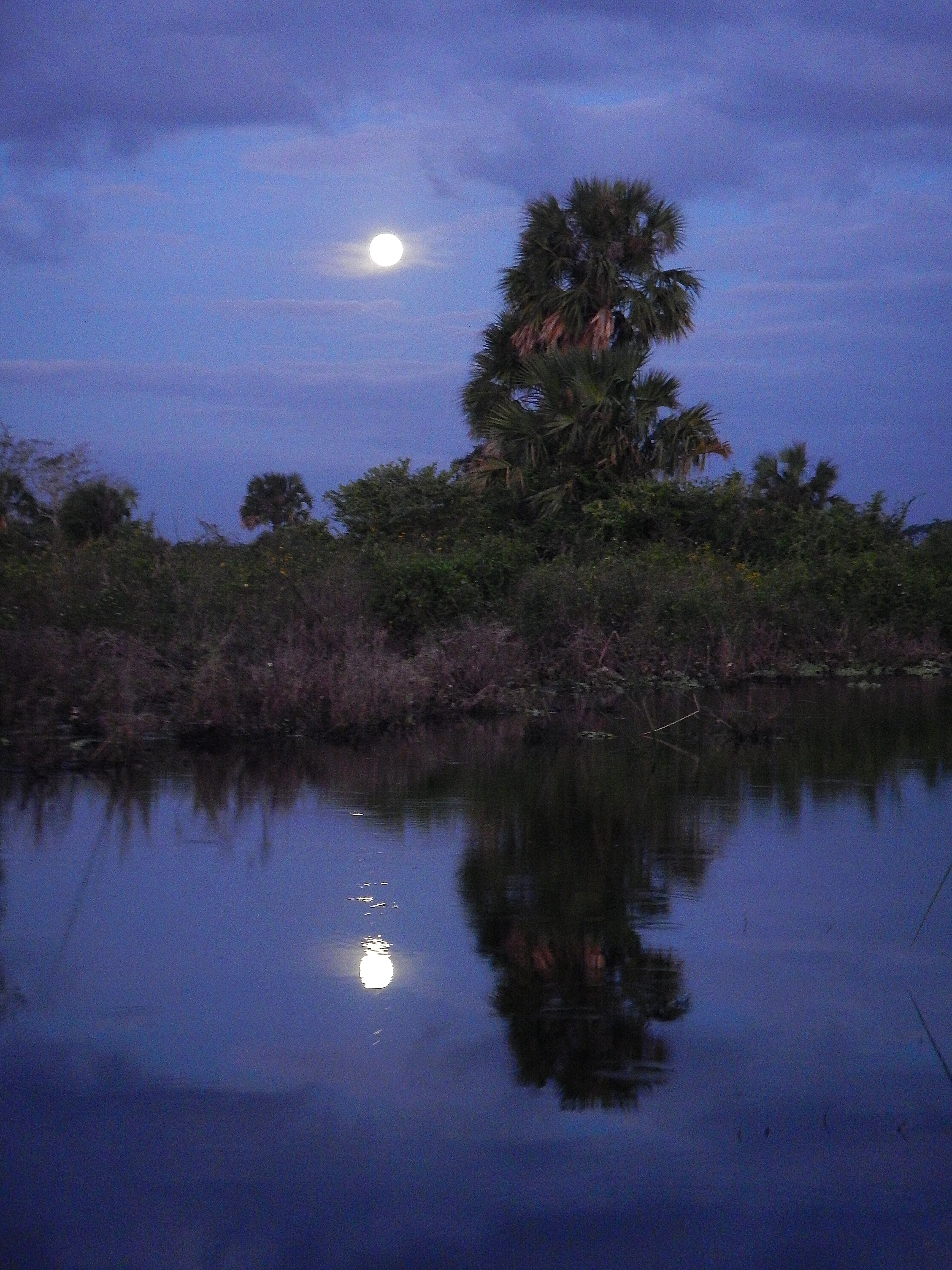 DSCN1579.JPG