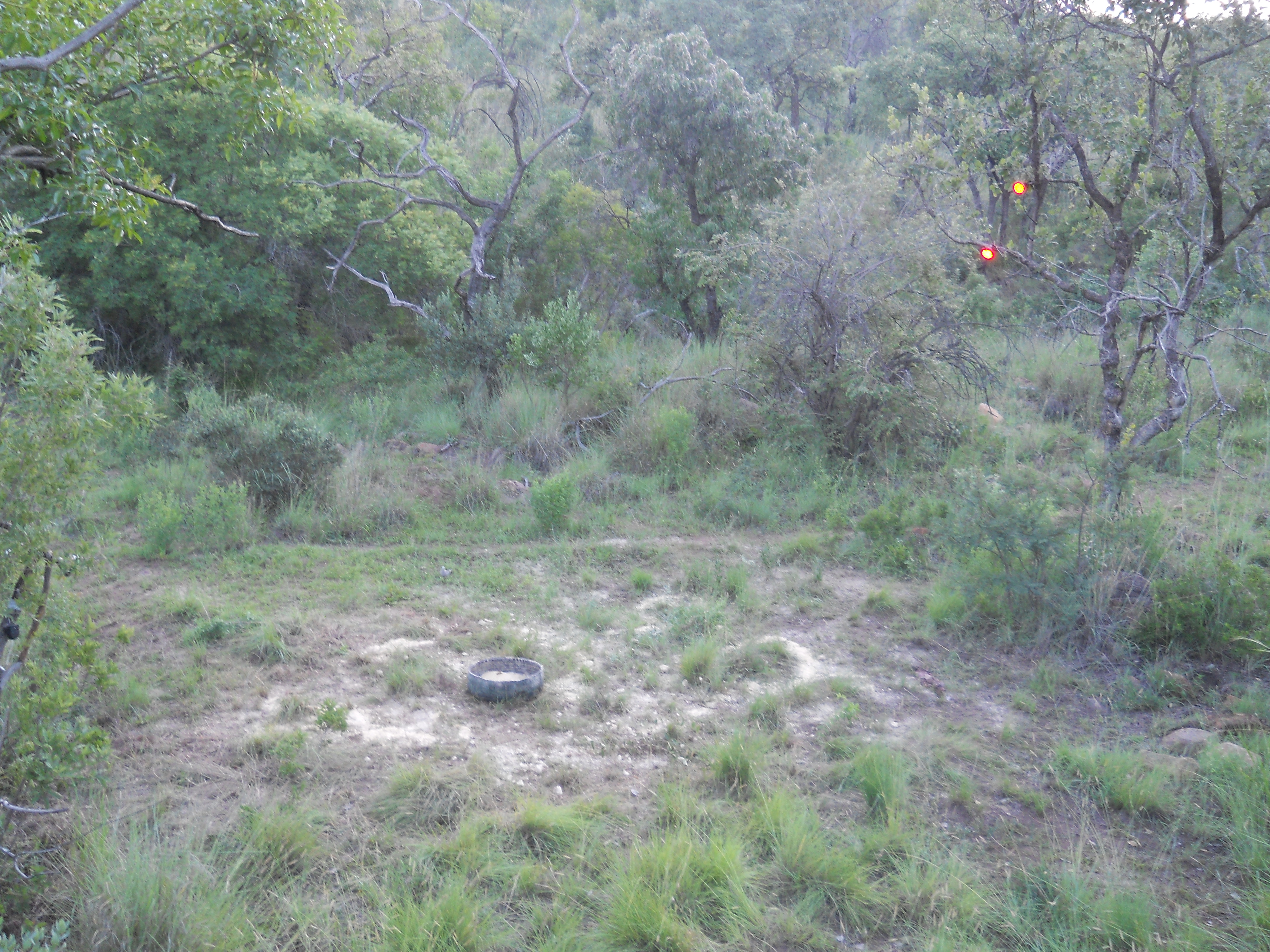 DSCN5542.JPG