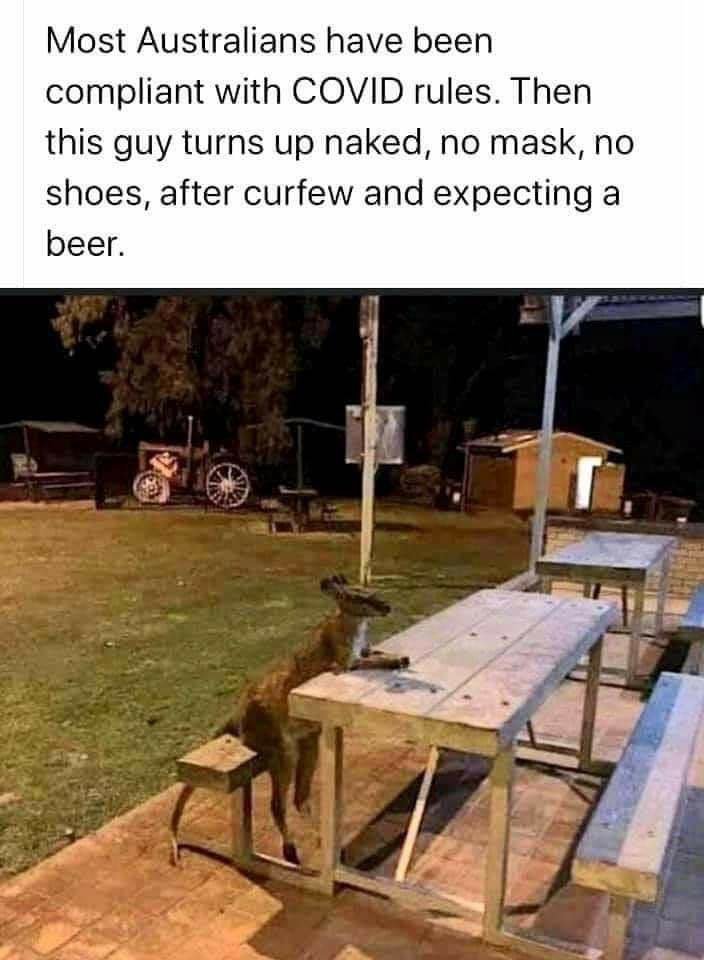 FB_IMG_1601053706111.jpeg