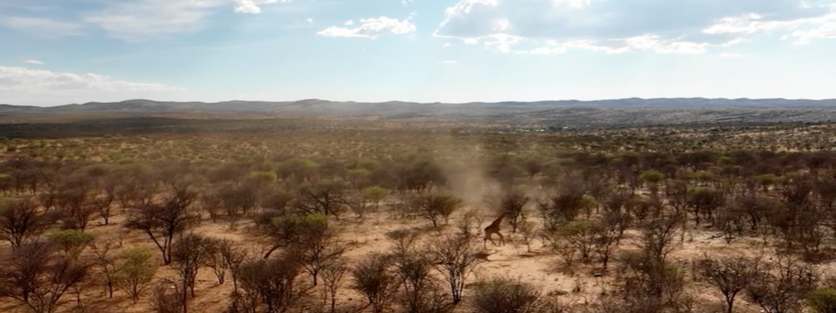 khomas-highland-hunting-safaris-02.jpg