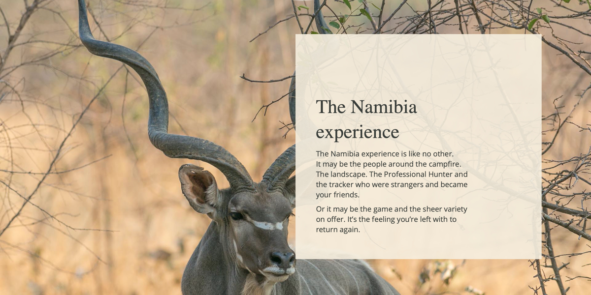 khomas-highland-hunting-safaris-31.jpg