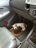 IMG_20190309_160523.jpg