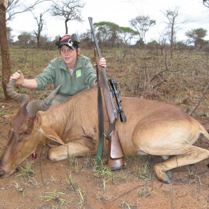 coke's hartebeest