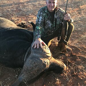 Buffalo Hunt
