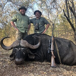 Buffalo Hunt South Africa