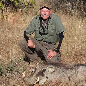 Warthog Hunting Namibia