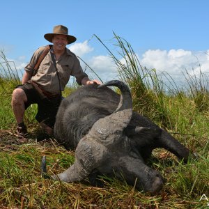 Buffalo Hunt Mozambique