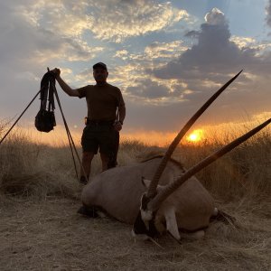 Gemsbok Hunt Namibia