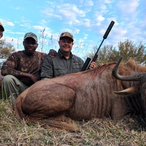 Golden Wildebeest Hunt South Africa