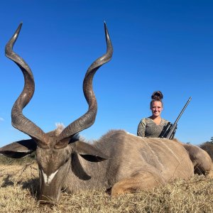 Kudu Hunting South Africa