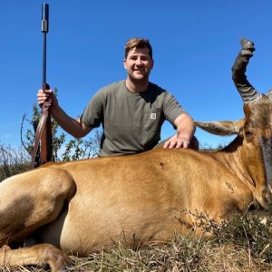 Hartebeest Hunt South Africa