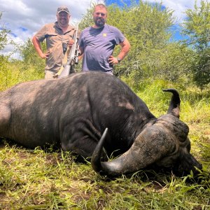 Buffalo Hunting South Africa
