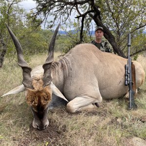Cape Eland Hunt