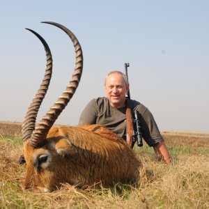 Kafue Lechwe