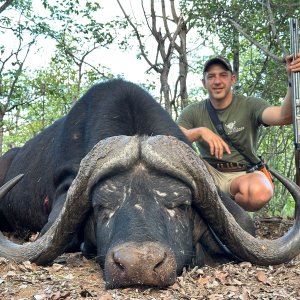 Buffalo Hunt South Africa