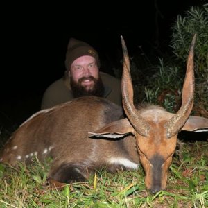 Bushbuck Hunt South Africa
