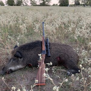 Ruger No 1 in 450/400 NE 3 Inch Rifle