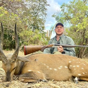 Chobe Bushbuck Niassa Reserve Mozambique