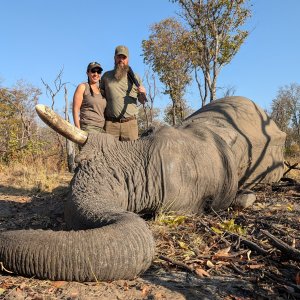 Elephant Hunt Zimbabwe