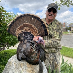 Turkey Hunting