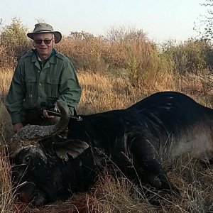 Buffalo