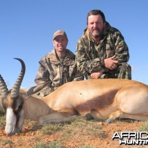 Copper Springbok