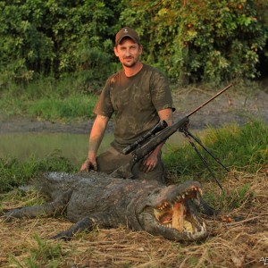 Mozambique Crocodile