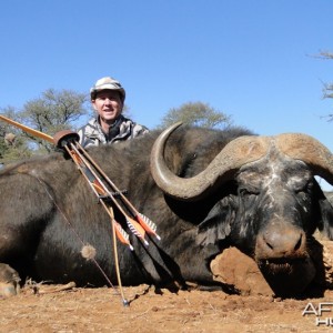 Buffalo hunted with Wintershoek Johnny Vivier Safaris