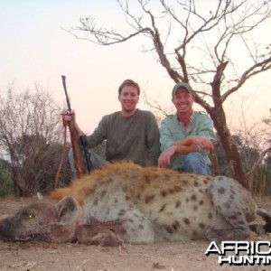 Hyena
