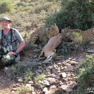 Setting with Cheetahs