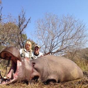 Hippo Kwalata Wilderness