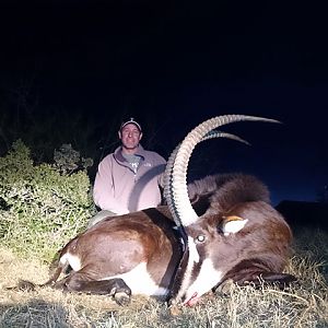 Sable Hunt