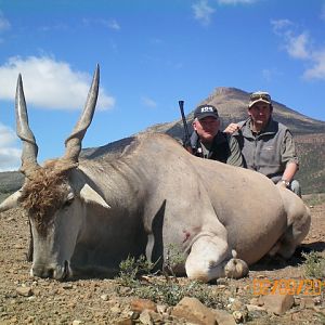 Hunting Eland