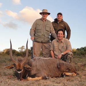 Hunting Nyala