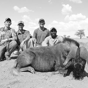 Hunting South Africa Black Wildebeest