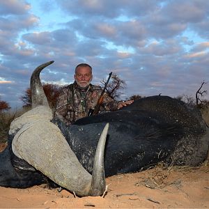 Cape Buffalo Hunt