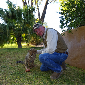 Cheetah Youngster
