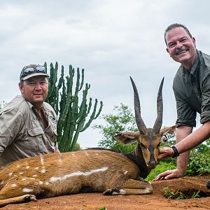 15 1/2" with 6" bases Nile Bushbuck Hunt in Uganda