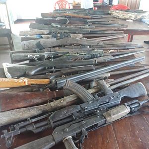 Recoveries from poachers 2017