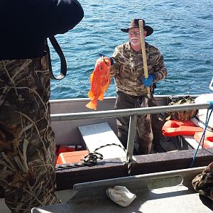 Fishing USA