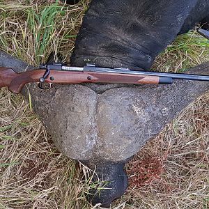 .375H&H Safari Express Rifle