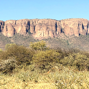 Hunting in South Africa
