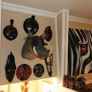 Warthog Shoulder Mount Taxidermy