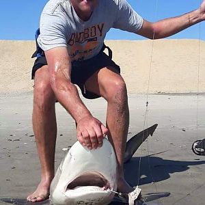 Fishing Shark in Namibia