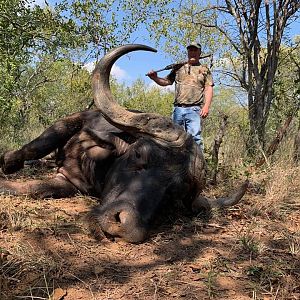 South Africa Hunting Buffalo
