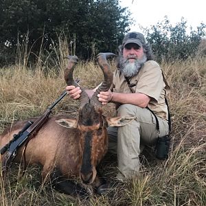 Red Hartebeest Hunt South Africa