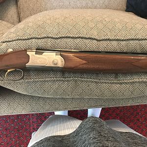 Beretta Silver Pigon in 12 gauge Shotgun