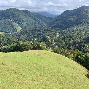 Mauritius Hunting Area