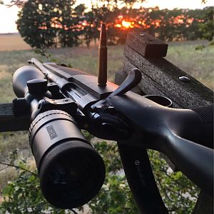 Hunting Rifle & Norma Ammo